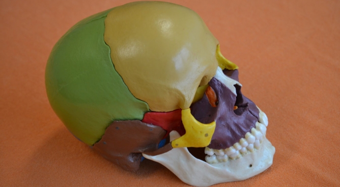 Osteo Basics