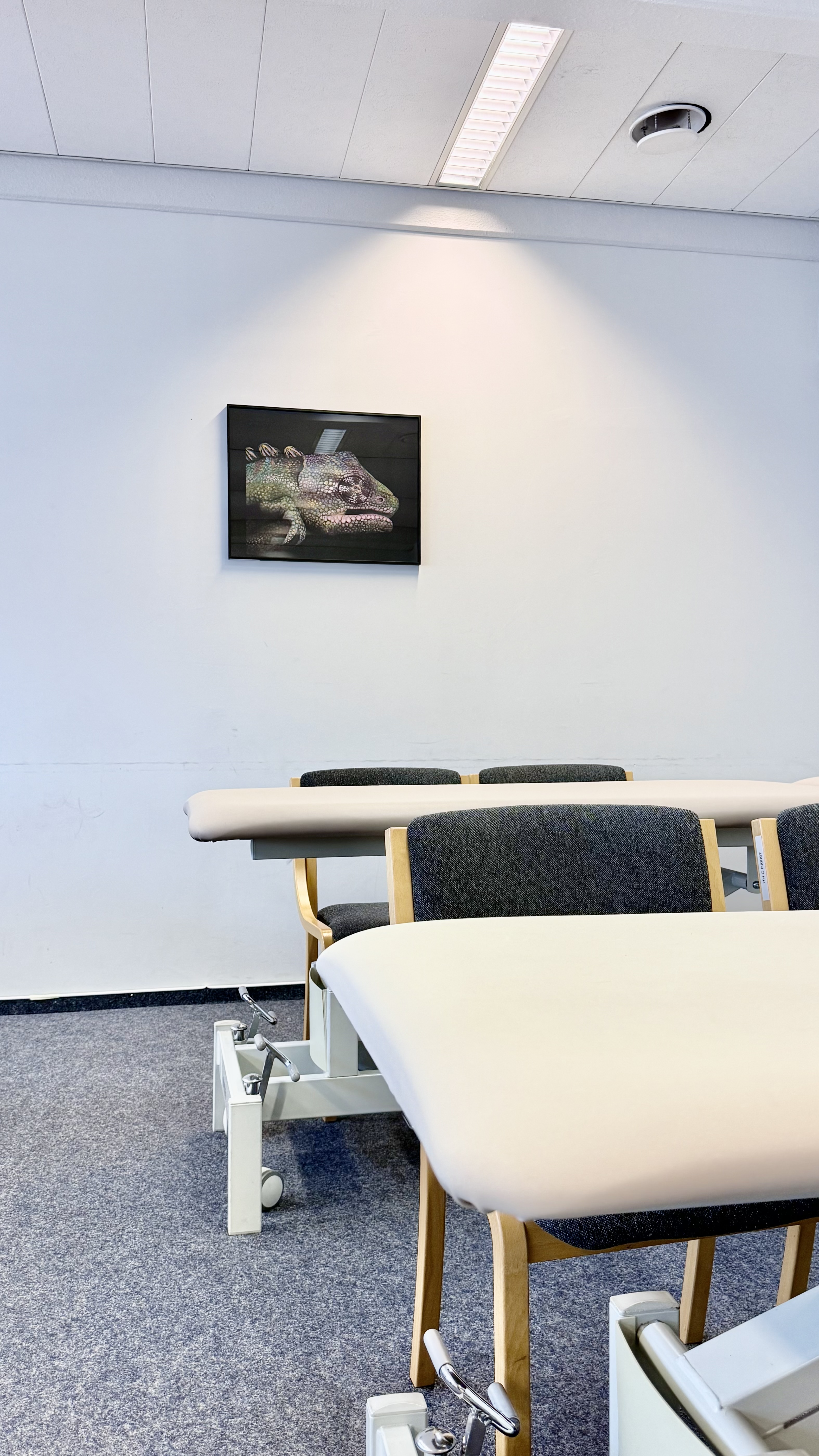 Behandlungsliegen mit Stühlen und Foto eines Leguans im Hintergrund